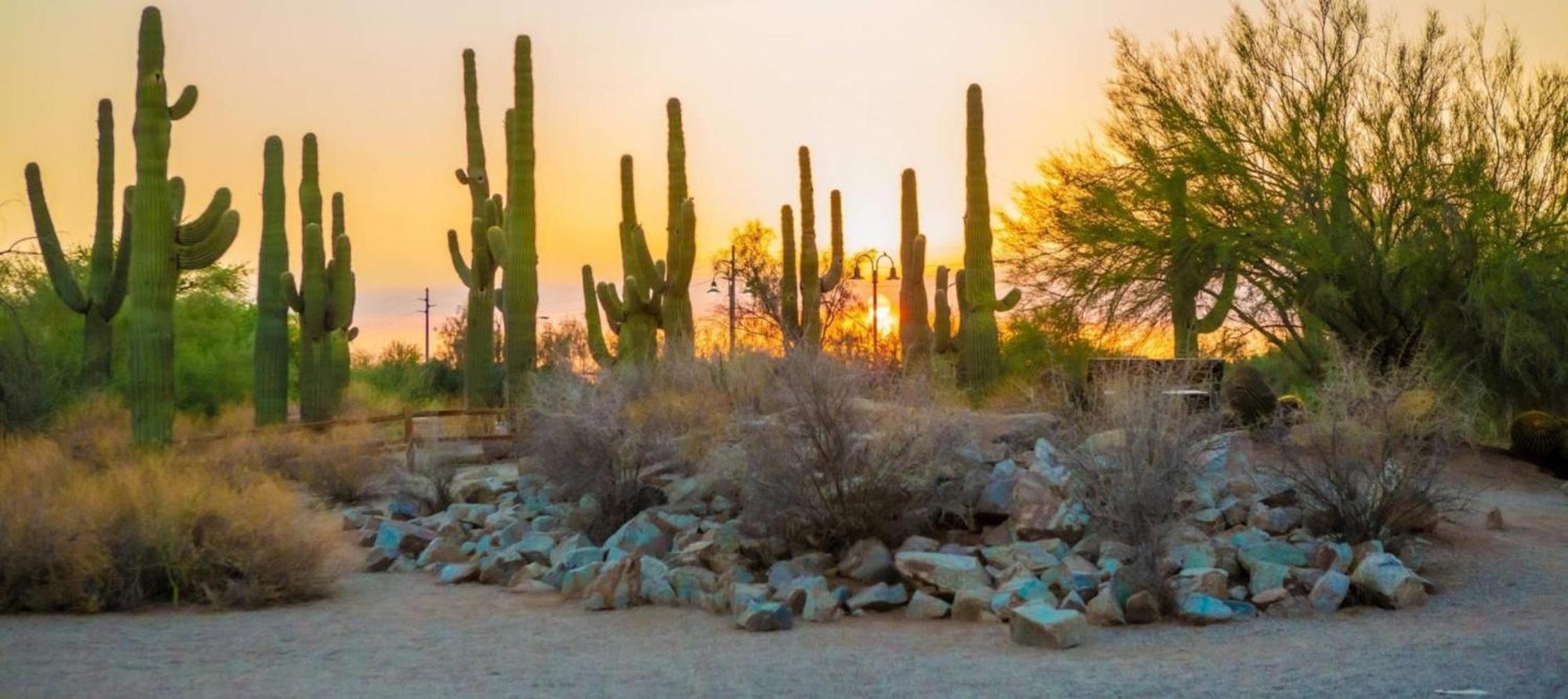 Staybridge - - East Mesa By Ihg Hotel Gilbert